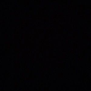 Meet your Posher, Dajon